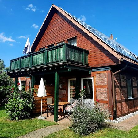 Ferienhaus Sasse Ferienwohnungen Mit Garten & Grill Molschow 外观 照片